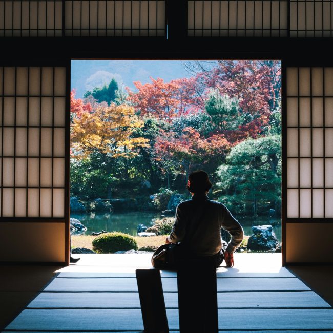 Exploring the Elegance of Bamboo in Architecture and Garden Design: A Journey from Japan to the UK